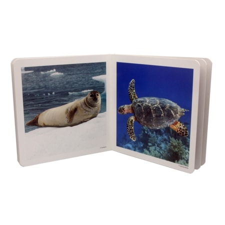 libros fotografías animales y su entorno
